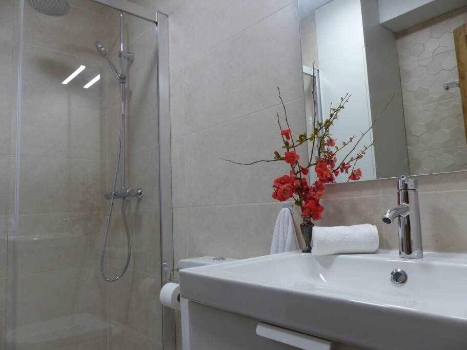 Apartamento Abside De San Juan II Estella Exteriér fotografie